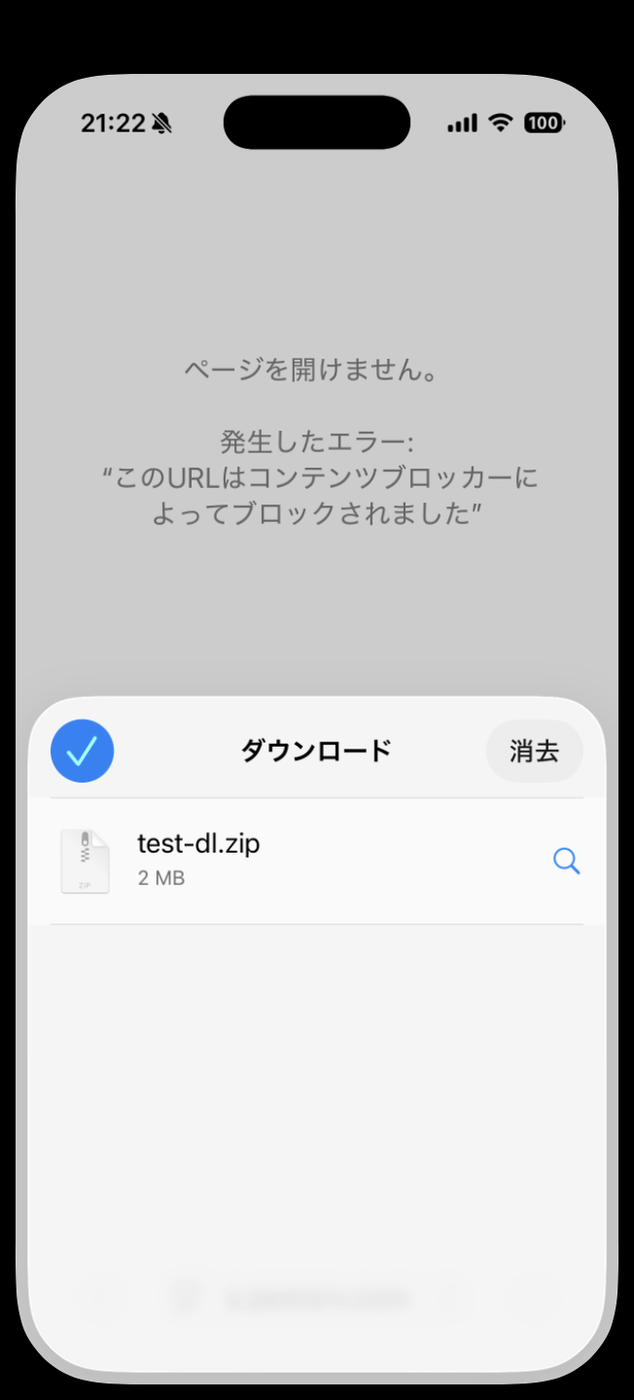 Safariのダウンロード一覧。test-dl.zip 2 MBの右に虫めがねアイコン、右上に消去ボタン