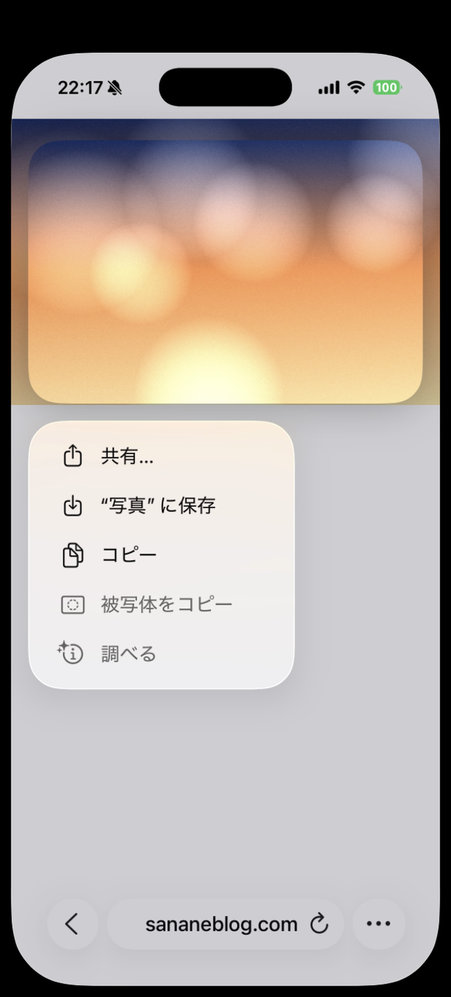 Safariで画像を長押ししたメニュー。共有、“写真”に保存、コピー、被写体をコピー、調べる